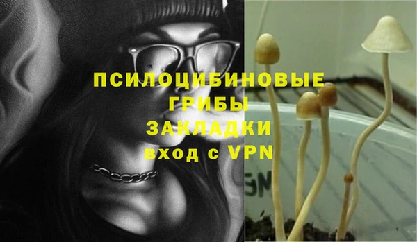 ешки Алексин