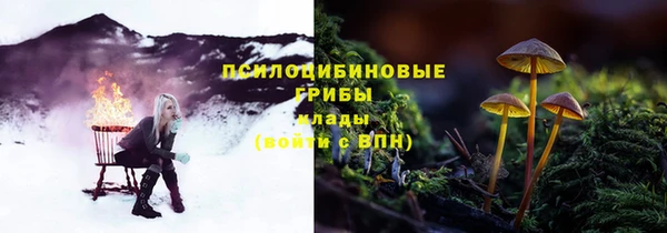 молекула духа Алексеевка