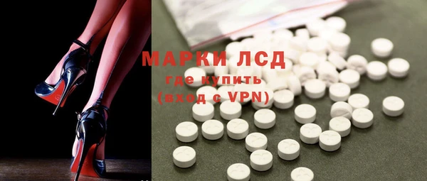 apvp Алзамай