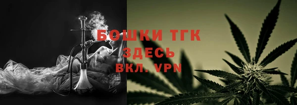 молекула духа Алексеевка