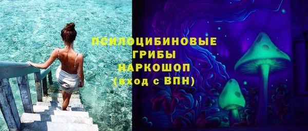 молекула духа Алексеевка