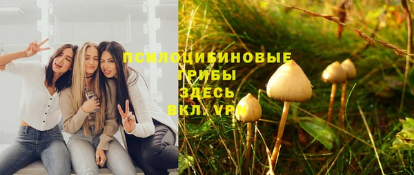 apvp Алзамай