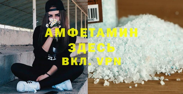 молекула духа Алексеевка