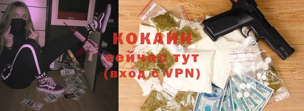 apvp Алзамай
