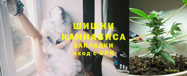 apvp Алзамай