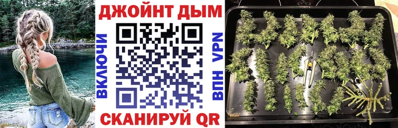 наркотики  Нижнеудинск  Каннабис сатива 